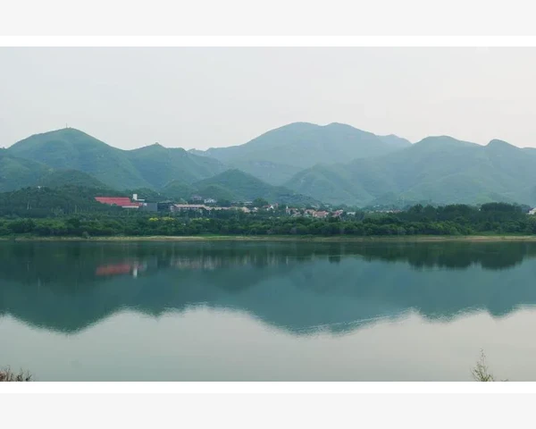 橙子煮水止咳化痰：中医经典方剂带你呵护呼吸健康